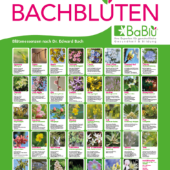 BaBlü® Bachblüten Plakat groß A1