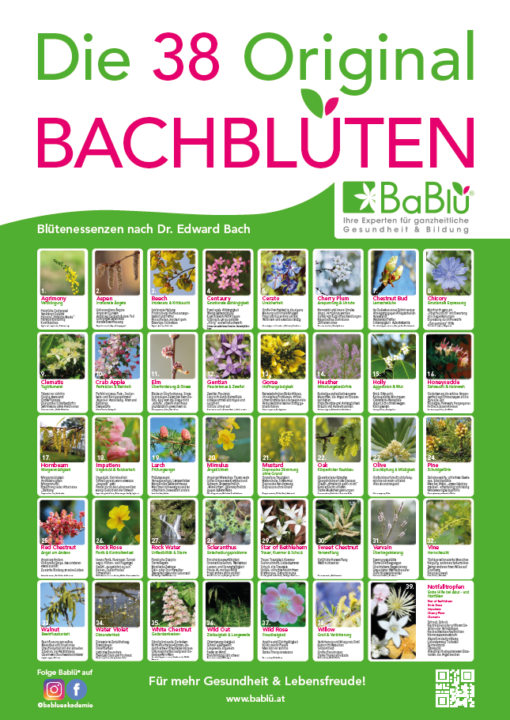 BaBlü® Bachblüten Plakat groß A1