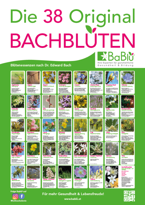 &ldquo;Seelenkosmetik & Bachblüten Hautzonen&rdquo; - 48-teiliges DIY Starterset
