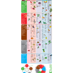 BaBlü® TCM Plakat - Lebensmittel, Kräuter, Organuhr, Meridiane - groß