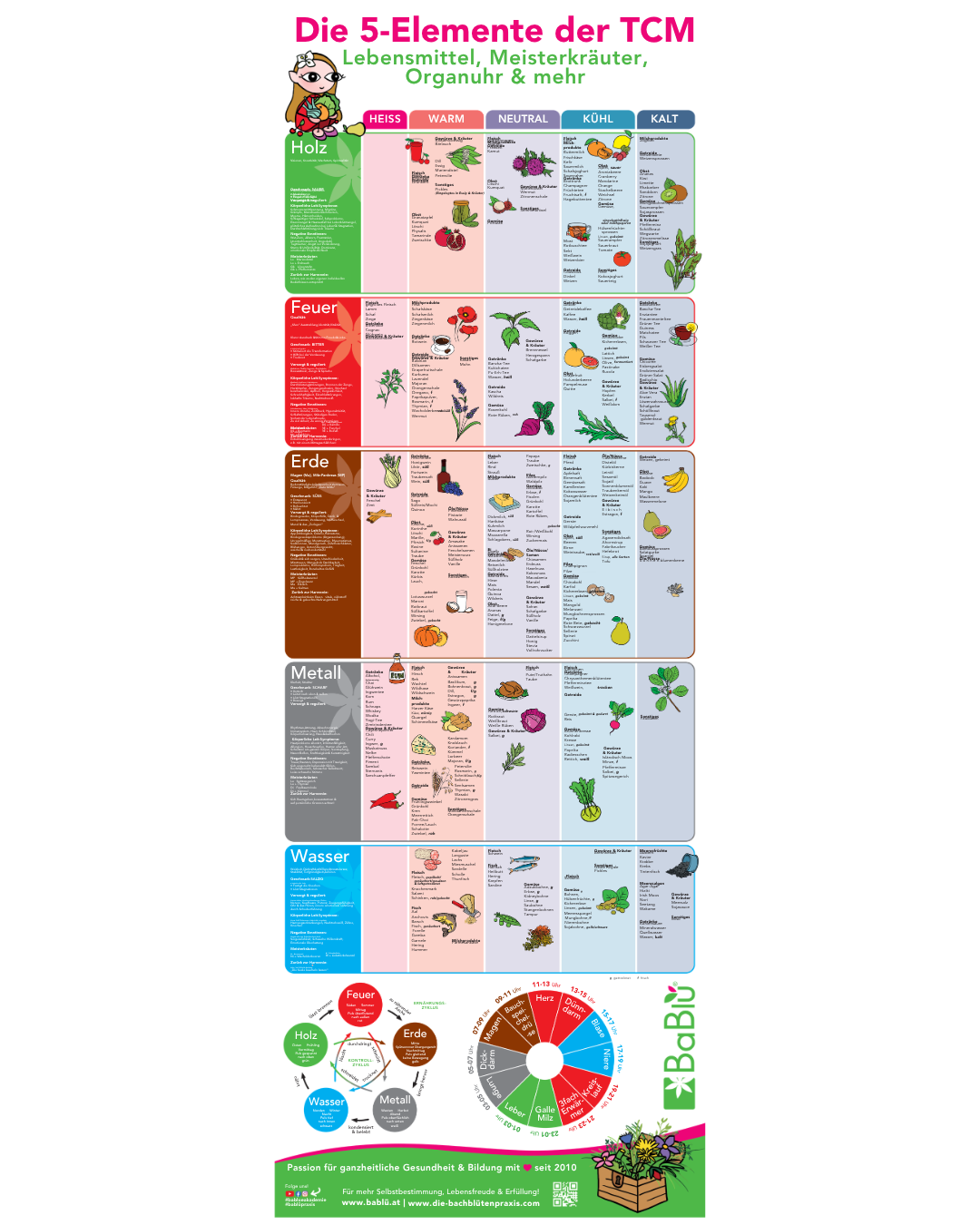 BaBlü® TCM Plakat - Lebensmittel, Kräuter, Organuhr, Meridiane - groß BaBlü® TCM Plakat - Lebensmittel, Kräuter, Organuhr, Meridiane - groß