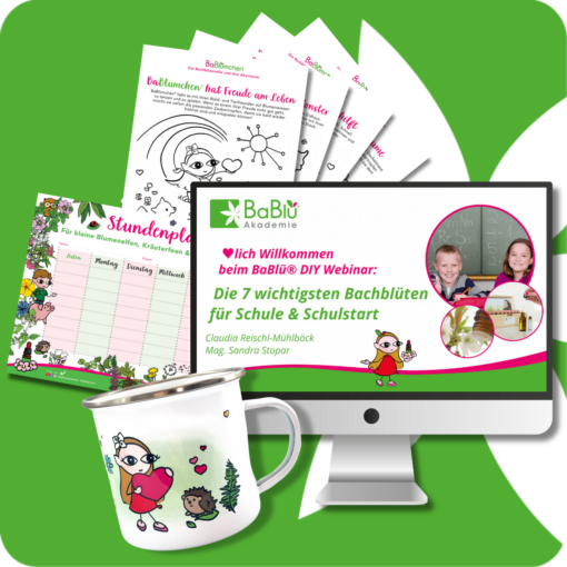 Schulstarter-Set