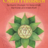 Chakra Praxisbuch Kalashatra Govinda - Taschenbuch
